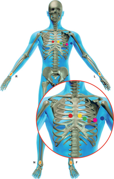 ecg