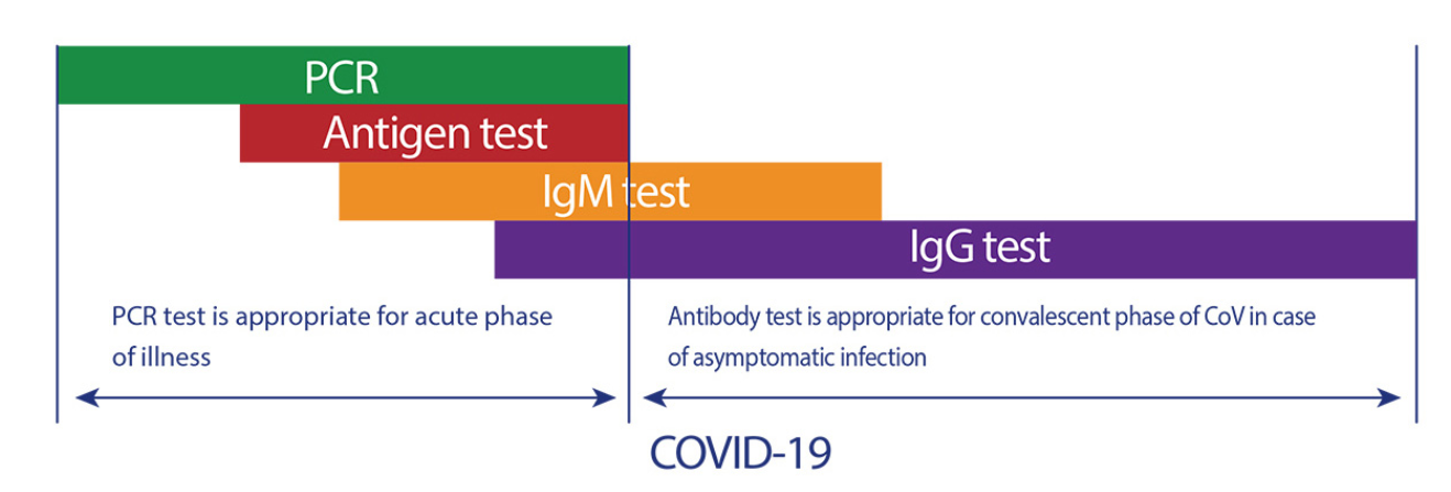 Covid-19 Antigen Testing
