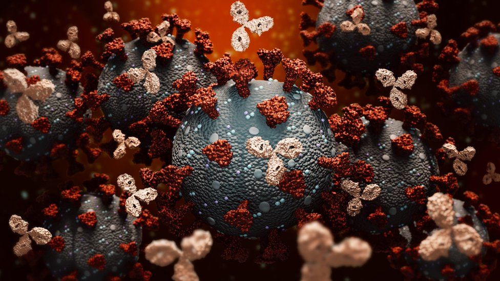 coronavirus