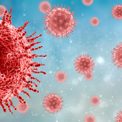 coronavirus