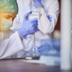 rapid antigen test