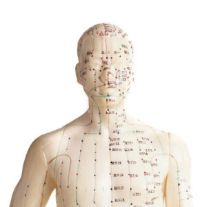 Acupuncture & Ozone Therapy